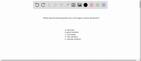 a-region-of-active-cell-division-where-primary-growth-occurs-is-the-a-internode-b-apical-meristem-c-