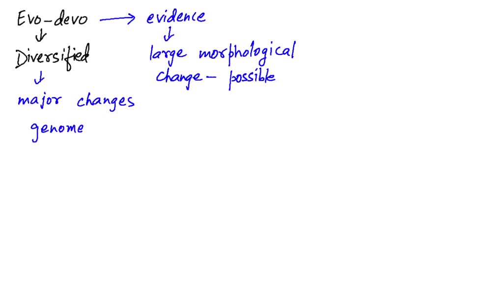 ⏩SOLVED:How has paedomorphosis been important to evolutionary… | Numerade