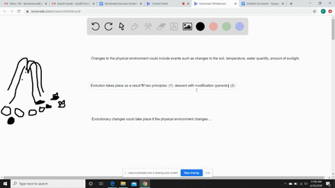 write-a-short-essay-about-100-150-words-evaluating-whether-changes-to-an-organisms-physical-environm