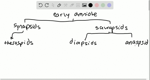 during-the-mesozoic-period-diapsids-diverged-into-____-a-pterosaurs-and-dinosaurs-b-mammals-and-rept