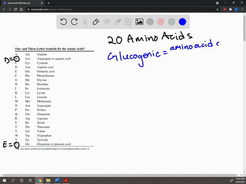 which-of-the-20-standard-amino-acids-are-a-purely-glucogenic-b-purely-ketogenic-and-c-both-glucoge-2