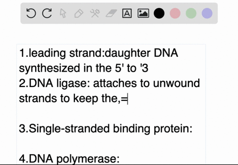 match-each-component-with-one-of-the-following-descriptions-1-leading-strand-2-dna-ligase-3-single-s