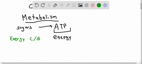 the-structure-and-function-of-a-living-cell-are-dictated-by-the-laws-of-chemistry-physics-and-thermo