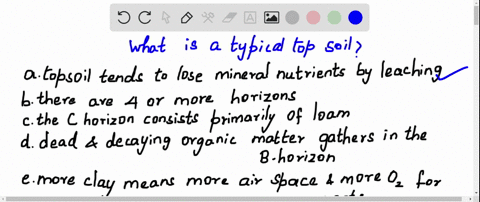 in-a-typical-soil-a-the-topsoil-tends-to-lose-mineral-nutrients-by-leaching-b-there-are-four-or-mo-3