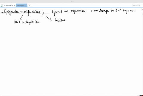 which-of-the-following-are-true-of-epigenetic-changes-a-allow-dna-to-be-transcribed-b-move-histones-