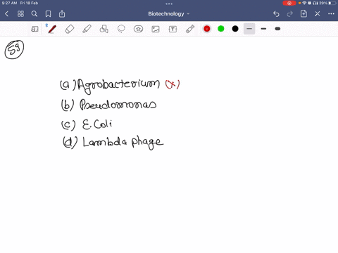 the-best-cloning-organism-for-genetic-engineering-and-biotechnology-is-a-agrobacterium-b-pseudomonas