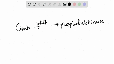 how-does-citrate-from-the-citric-acid-cycle-affect-glycolysis