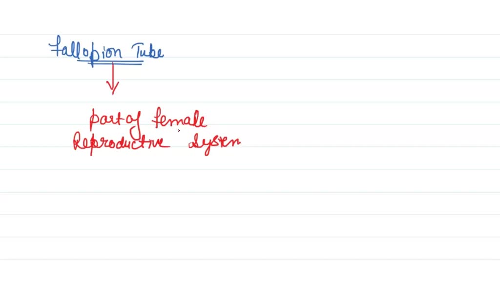WHAT IS FERTILIZATION AND HOW DOES IT OCCUR intelligence overview
