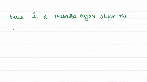 structure-that-connects-uterus-and-vagina-is-_____