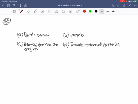 uterus-is-commonly-known-as-a-birth-canal-b-womb-c-primary-female-sex-organ-d-female-external-genita