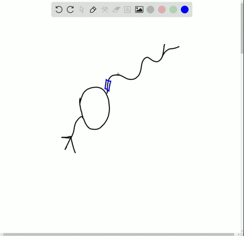 glia-that-provide-myelin-for-neurons-in-the-brain-are-called-_______-a-schwann-cells-b-oligodendrocy