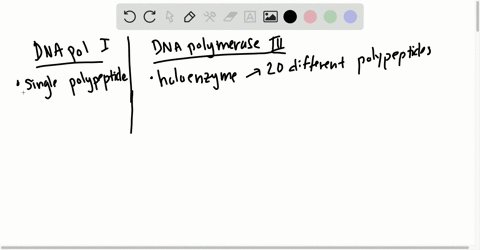 how-similar-are-the-structures-of-dna-polymerase-i-and-dna-polymerase-iii-in-e-coli-what-is-the-stru