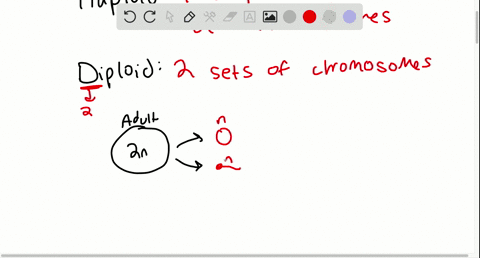 the-products-of-_____-are-_____-cells-a-mitosis-diploid-b-meiosis-haploid-c-meiosis-diploid-d-both-a