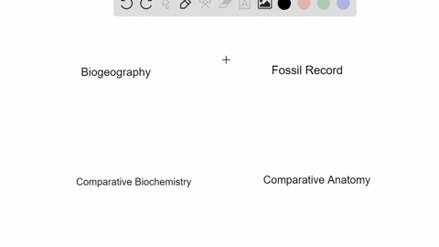 match-each-description-to-a-type-of-evolutionary-evidence-in-the-key-key-a-biogeography-b-fossil-r-3