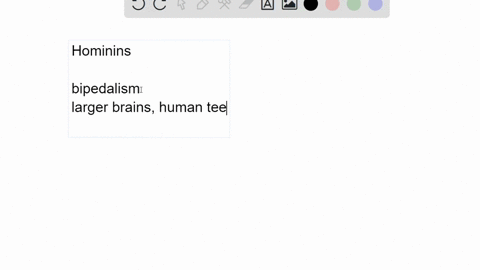 describe-the-characteristics-of-australopithecines-early-homo-homo-erectus-neandertals-and-cro-mag-2
