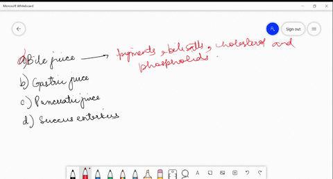 enzymes-like-dipeptidases-lipases-nucleosidases-nucleotidases-maltase-and-sucrase-are-present-in-a-b