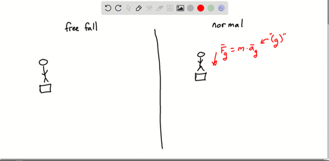 you-are-standing-on-a-scale-in-an-elevator-for-a-brief-time-the-elevator-descends-with-free-fall-acc