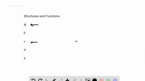 match-each-structure-with-a-function-ureter-cloaca-urethra-nephron-malpighian-tubule-a-exit-for-urin