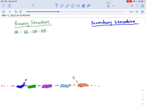what-happens-to-the-primary-structure-of-a-protein-when-a-protein-forms-a-secondary-structure-3
