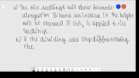 what-would-be-expected-to-happen-if-a-mathrmga_3-is-applied-to-rice-seedlings-b-dividing-cells-stop-