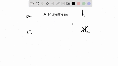 the-production-of-the-vast-majority-of-the-atp-molecules-produced-within-the-cells-of-your-body-is-p