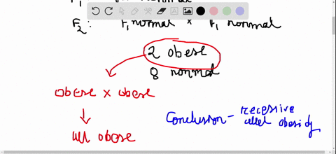 a-geneticist-discovers-an-obese-mouse-in-his-laboratory-colony-he-breeds-this-obese-mouse-with-a-nor