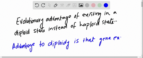 humans-and-many-other-complex-organ-isms-are-diploid-possessing-two-sets-of-genes-one-inherited-from