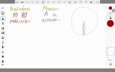 a-person-is-simultaneously-heterozygous-for-two-autosomal-genetic-traits-one-is-a-recessive-conditio