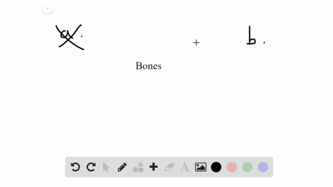 which-of-the-following-statements-about-skeletons-is-true-a-chitin-is-a-major-component-of-vertebr-2