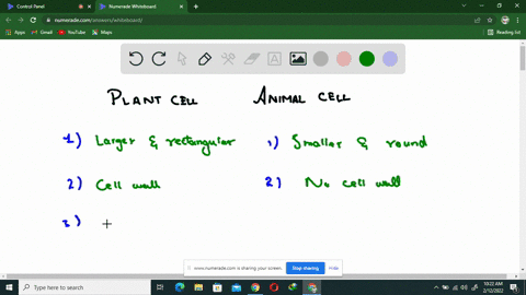 what-is-a-key-difference-in-structure-between-the-cells-of-multicellular-plants-and-the-cells-of-mul