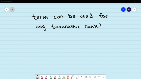 which-term-can-be-used-for-any-taxonomic-rank-a-class-b-taxon-c-family-d-cohort