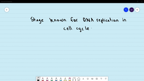 which-typical-stage-is-known-for-dna-replication-a-metaphase-b-g_1-phase-c-s-phase-d-g_2-phase