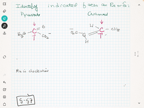 identify-the-indicated-faces-in-the-following-molecules-as-r-e-or-si-a-pyruvate-b-crotonate