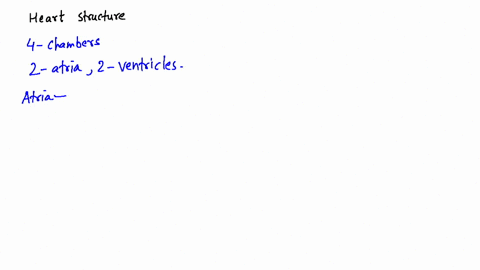 describe-the-structure-of-the-heart-including-the-chambers-and-valves-pages-94-97