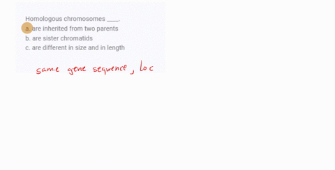 homologous-chromosomes-____-a-are-inherited-from-two-parents-b-are-sister-chromatids-c-are-different