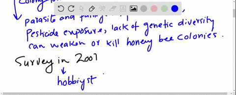 in-recent-years-honeybee-colonies-throughout-north-america-have-been-decimated-by-the-rapid-death-of