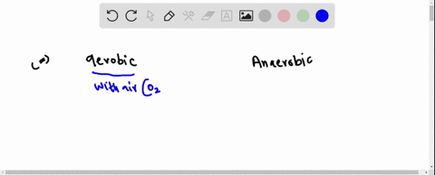 what-do-the-words-aerobic-and-anaerobic-mean