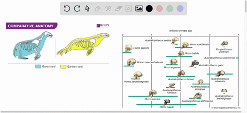 explain-why-a-researcher-might-combine-evidence-from-fossils-and-from-the-anatomy-of-existing-organi