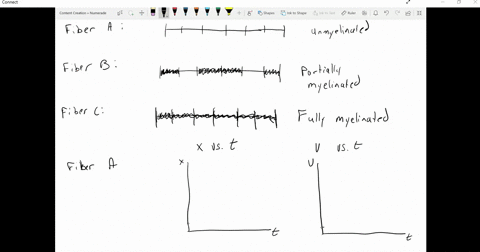 concern-nerve-impulses-electrical-signals-propagated-along-nerve-fibers-consisting-of-many-axons-fib