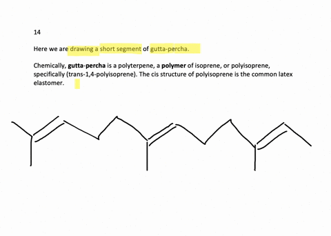 draw-a-short-segment-of-gutta-percha-3