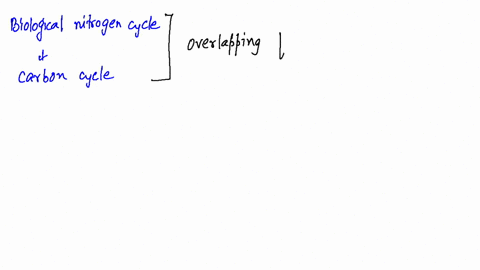 describe-two-ways-that-the-biological-nitrogen-cycle-interacts-with-the-biological-carbon-cycle-2