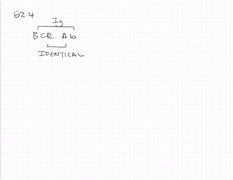 how-do-b-cell-receptors-and-antibodies-differ