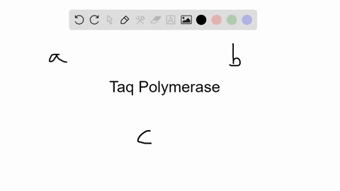 taq-polymerase-is-used-for-pcr-because-it-_____-a-tolerates-the-high-temperature-needed-to-separate-