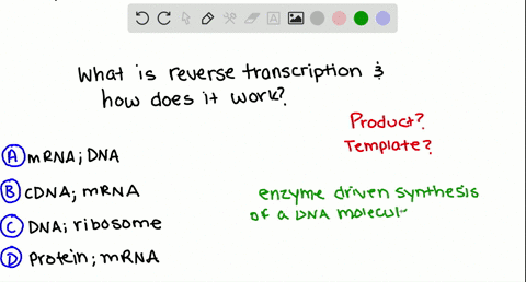 by-reverse-transcription-__________-is-assembled-on-an-______________-template-a-mrna-dna-b-cdna-i-m