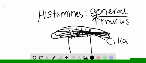 which-of-the-following-is-true-about-histamine-a-it-is-part-of-the-bodys-first-line-of-defense-b-it-