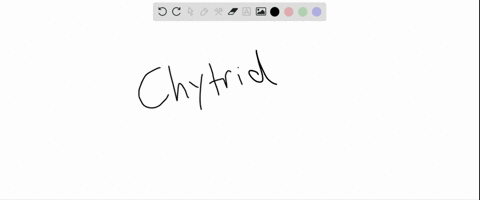 match-the-terms-appropriately-________hypha-________chitin-________chytrid-________sac-fungus-______