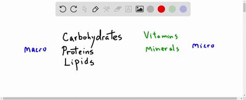 ___________-are-inorganic-substances-with-metabolic-roles-that-no-other-substance-can-fulfill-a-fats