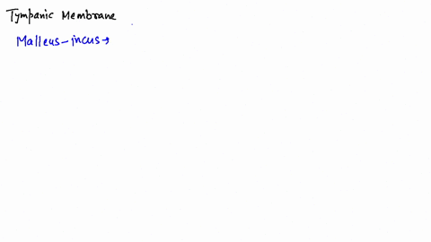 the-is-attached-to-the-tympanic-membrane-and-the-oval-window-of-the-cochlea-a-malleus-incus-b-incus-
