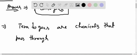 chemicals-that-pass-through-the-placentas-screen-and-may-harm-an-embryo-or-fetus-are-called-___