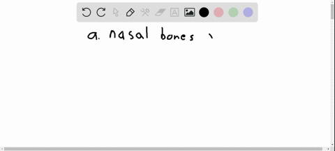which-of-the-following-is-not-involved-in-forming-the-shape-of-the-face-a-nasal-bones-b-mandible-c-z